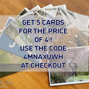 Pack of Five Greetings Cards, Choose Your Five Cards Only Pay For Four !