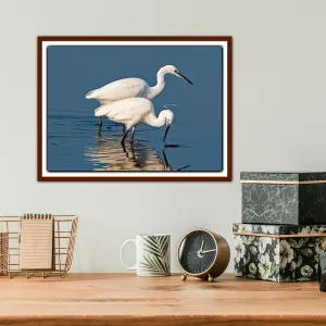 Little Egrets Reflected in the Water -A3 Print in a wooden frame