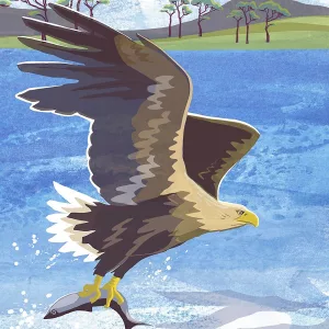 White Tailed Eagle ( Sea Eagle) A5 notebook with elastic page marker