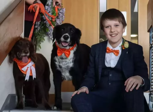 37E87203-87A4-46BA-A922-B73CC6ABB208