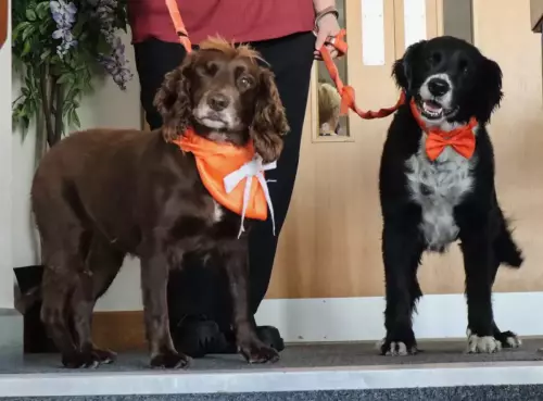 51F0B6EA-DF32-4EE1-992D-D4CC4B0A0259