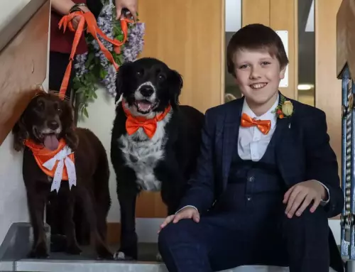 76A78DC7-CF7A-46B2-A91D-5A337DE2EBA7