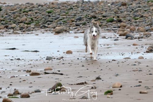19 September 2026 - Beckermet, West Cumbria - Bar Skye