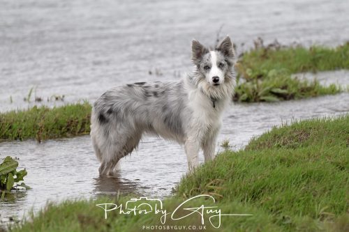 19 September 2026 - Beckermet, West Cumbria - Skye