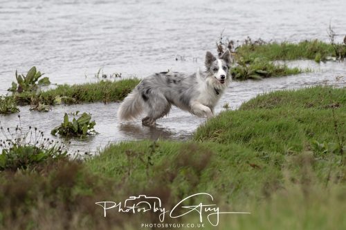 19 September 2026 - Beckermet, West Cumbria - Skye