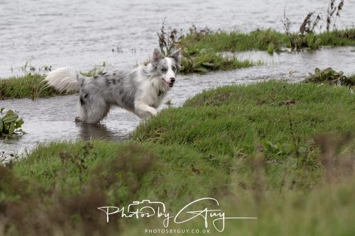 19 September 2026 - Beckermet, West Cumbria - Skye