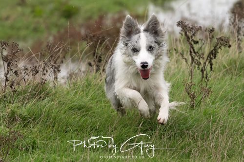 19 September 2026 - Beckermet, West Cumbria - Skye