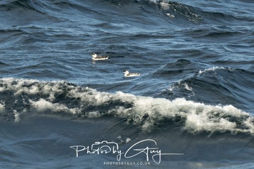 03 October 2026 -Kingscross, Isle of Arran -