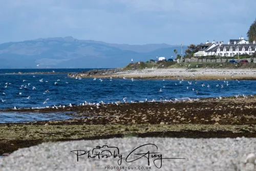 20/21 September 2025 - Ilse of Arran, Scotland 