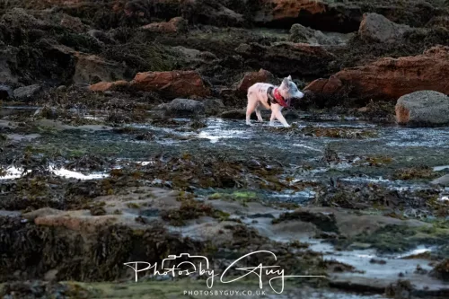 25 September 2025- Arran, Scotland