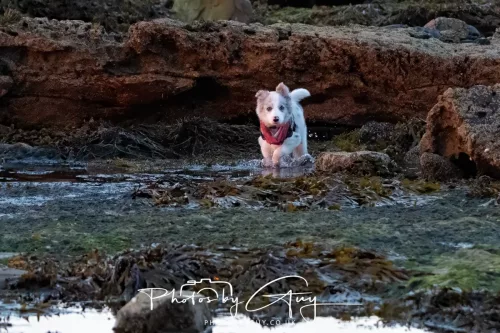 25 September 2025- Arran, Scotland