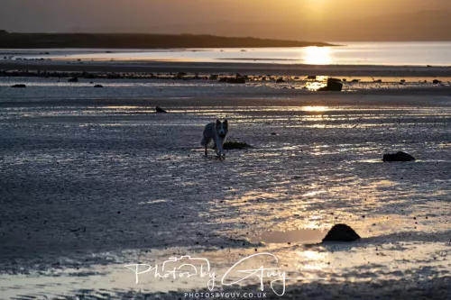 19 April 2026 - Kilchatten and Glencallum Bay - Isle of Bute