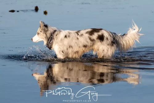 19 April 2026 - Kilchatten and Glencallum Bay - Isle of Bute-red-