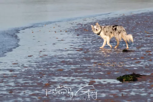 19 April 2026 - Kilchatten and Glencallum Bay - Isle of Bute-