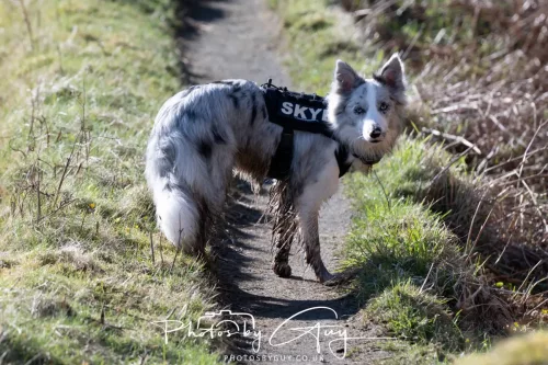 19 April 2026 - Kilchatten and Glencallum Bay - Isle of Bute-