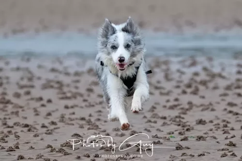21 April 2026 - Scalpsie Bay & Ettrick - 