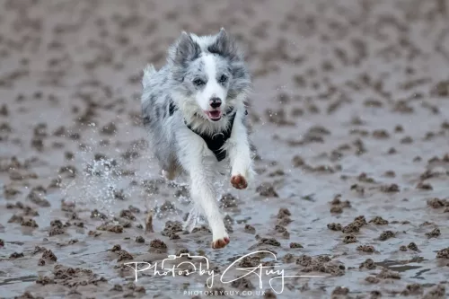 21 April 2026 - Scalpsie Bay & Ettrick -
