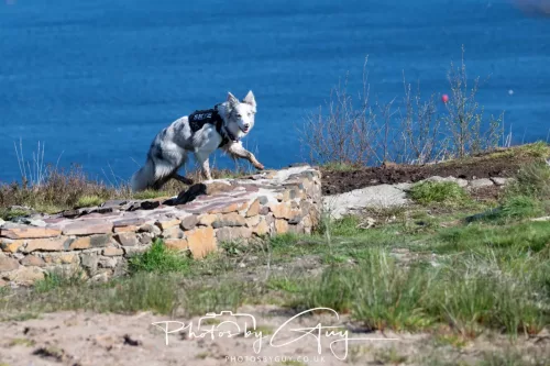 22 April 2026 - Balnakailly, Bute - 