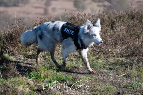 22 April 2026 - Balnakailly, Bute - 