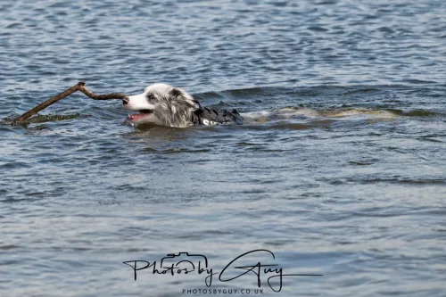18 April 2026 - Ettrick Bay, Isle of Bute - 