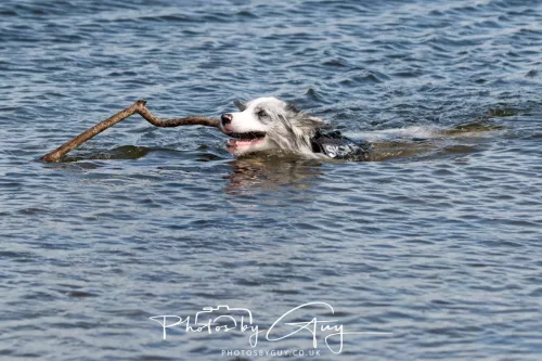 18 April 2026 - Ettrick Bay, Isle of Bute - 