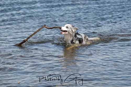 18 April 2026 - Ettrick Bay, Isle of Bute - 