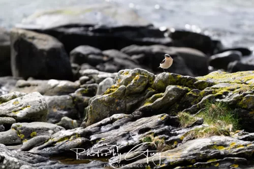 18 April 2026 - Kilcatten Bay, Isle of Bute - Wheater