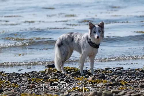 26 April 2026 - Isle of Arran, Whiting bay 