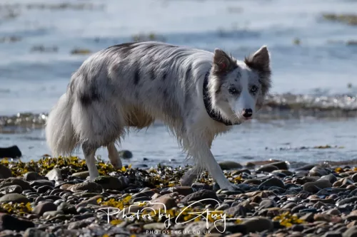 26 April 2026 - Isle of Arran, Whiting bay 
