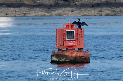 26 April 2026 - Isle of Arran, Whiting bay -