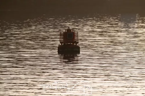 27 April 2026 - Isle of Arran, Kingcross Point, early morning