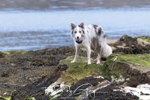 27 April 2026 - Isle of Arran, Lamlash Bay 