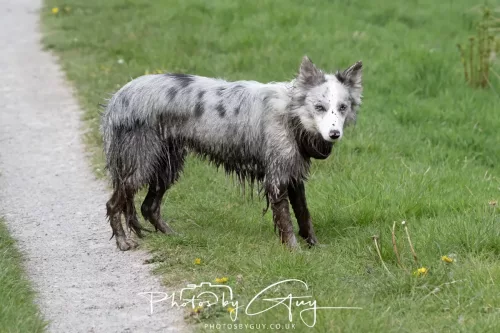 09 May 2026 _ West Cumbria 
