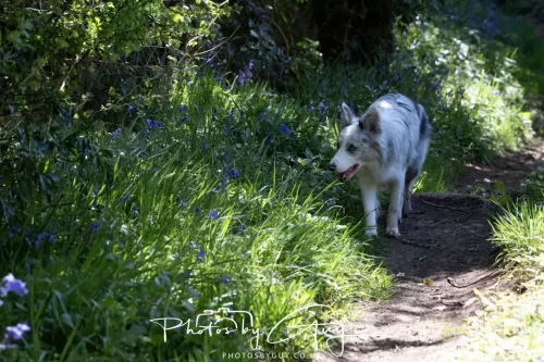30 April 2026 Lamlash Bay, Clauchlands Point, & Kingscross -