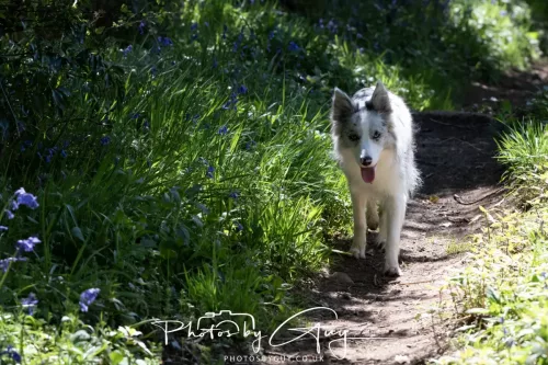 30 April 2026 Lamlash Bay, Clauchlands Point, & Kingscross -