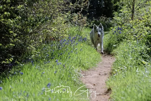 30 April 2026 Lamlash Bay, Clauchlands Point, & Kingscross -