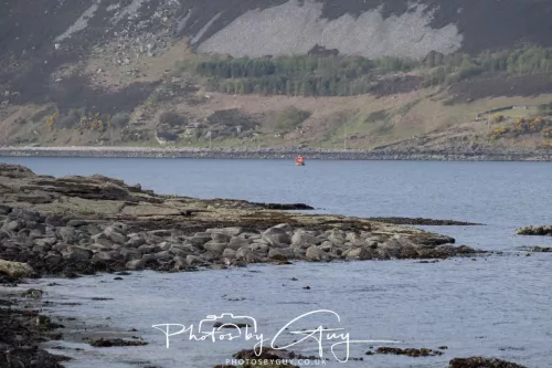 01 May2026 Kingscross, Isle of Arran - 