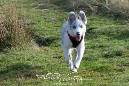 08 November 2025: Drigg Beach and Dunes, Cumbria - Skye