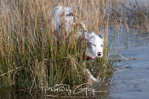 08 November 2025: Drigg Beach and Dunes, Cumbria - Skye