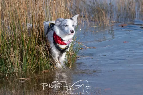 08 November 2025: Drigg Beach and Dunes, Cumbria - Skye