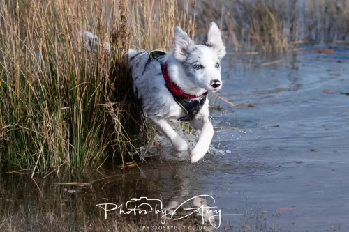 08 November 2025: Drigg Beach and Dunes, Cumbria - Skye