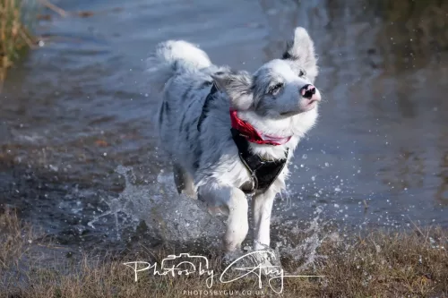 08 November 2025: Drigg Beach and Dunes, Cumbria - Skye