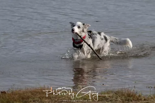 08 November 2025: Drigg Beach and Dunes, Cumbria - Skye