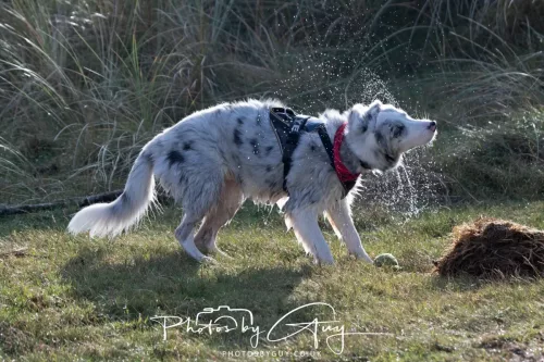 08 November 2025: Drigg Beach and Dunes, Cumbria - Skye