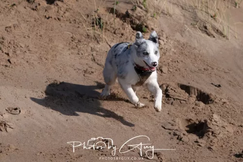 08 November 2025: Drigg Beach and Dunes, Cumbria -Skye
