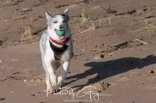 08 November 2025: Drigg Beach and Dunes, Cumbria - Skye