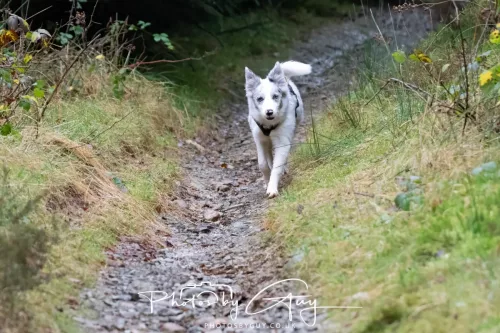 15 Nov 2025: Threlkeld to Keswick Railway walk : 