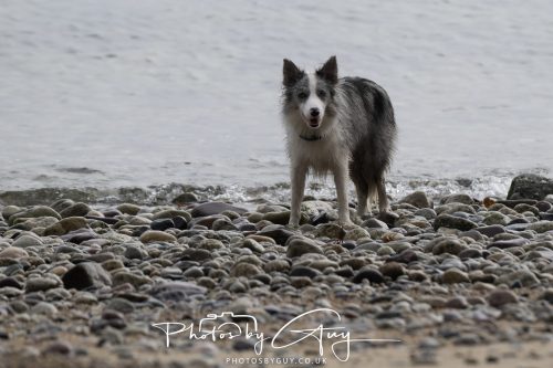 05 Oct 2026 - Sannox Glen and Coast, Arran, Scotland -Skye