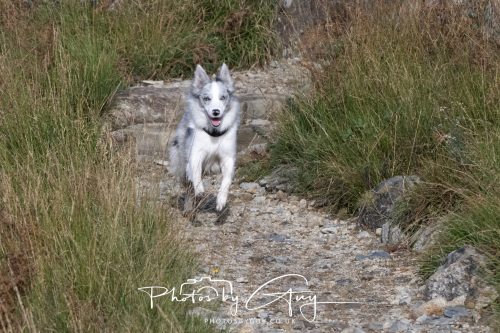 08 October 2026 - Glen Rosa, Isle of Arran, Scotland - Skye
