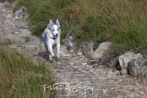 08 October 2026 - Glen Rosa, Isle of Arran, Scotland - Skye